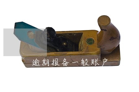 逾期报备一般账户 逾期报备一般账户