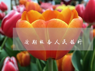 逾期报备人民银行 逾期报备人民银行