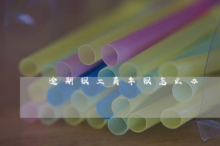 逾期报工商年报怎么办 逾期报工商年报怎么办