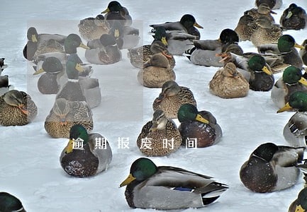 逾期报废时间 逾期报废时间