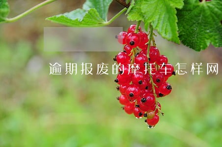 逾期报废的摩托车怎样网上销户 逾期报废的摩托车怎样网上销户