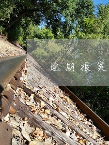 逾期报案文书送达户籍所在地 逾期报案文书送达户籍所在地