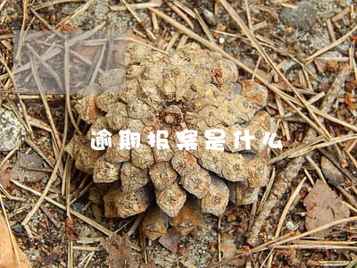 逾期报案是什么 逾期报案是什么