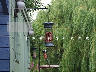 逾期报案有什么影响 逾期报案有什么影响