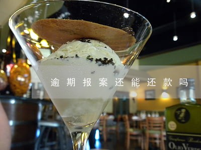 逾期报案还能还款吗 逾期报案还能还款吗