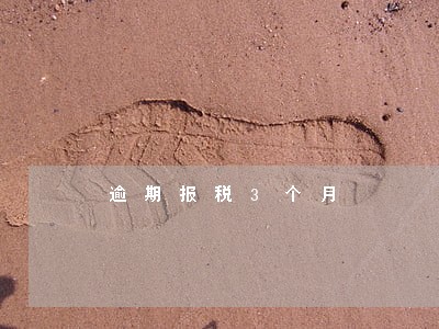 逾期报税3个月 逾期报税3个月