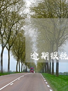 逾期报税4天 逾期报税4天