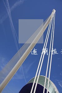 逾期报税一个星期怎么办 逾期报税一个星期怎么办