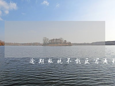 逾期报税不能反写是什么意思 逾期报税不能反写是什么意思