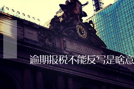 逾期报税不能反写是啥意思 逾期报税不能反写是啥意思