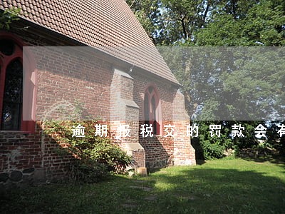逾期报税交的罚款会有记录吗 逾期报税交的罚款会有记录吗