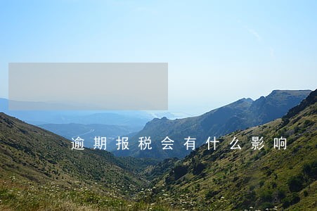 逾期报税会有什么影响 逾期报税会有什么影响