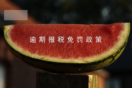 逾期报税免罚政策 逾期报税免罚政策