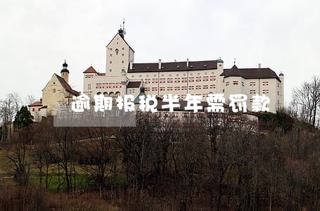逾期报税半年需罚款 逾期报税半年需罚款
