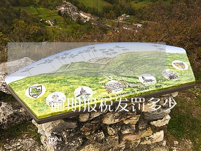 逾期报税发罚多少 逾期报税发罚多少