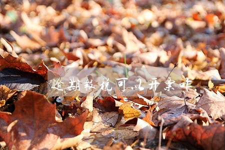 逾期报税可以开票咋 逾期报税可以开票咋