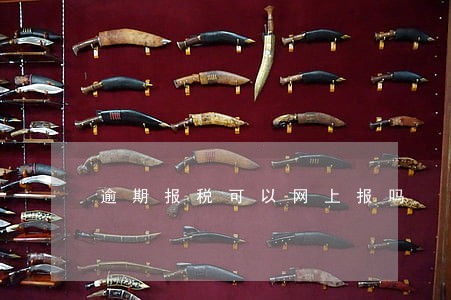 逾期报税可以网上报吗 逾期报税可以网上报吗
