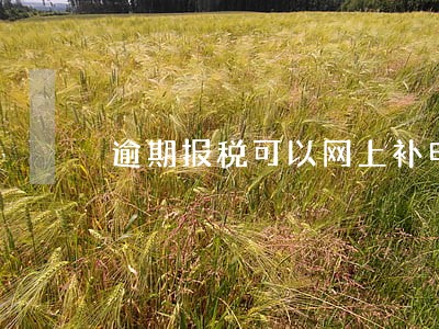 逾期报税可以网上补申报吗 逾期报税可以网上补申报吗