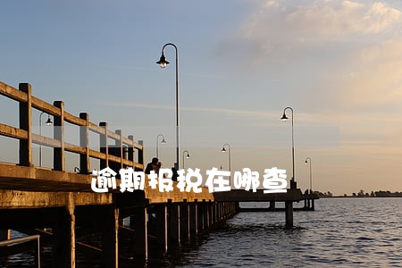 逾期报税在哪查 逾期报税在哪查