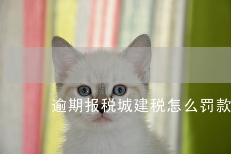 逾期报税城建税怎么罚款 逾期报税城建税怎么罚款