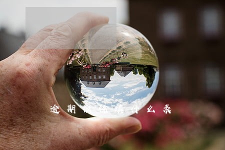 逾期报税填什么表 逾期报税填什么表