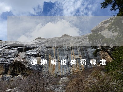 逾期报税处罚标准 逾期报税处罚标准