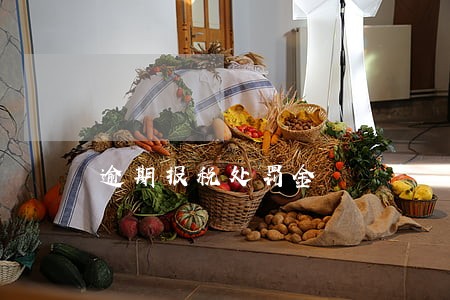 逾期报税处罚金 逾期报税处罚金