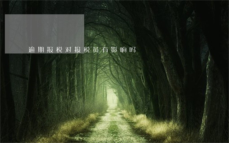 逾期报税对报税员有影响吗 逾期报税对报税员有影响吗