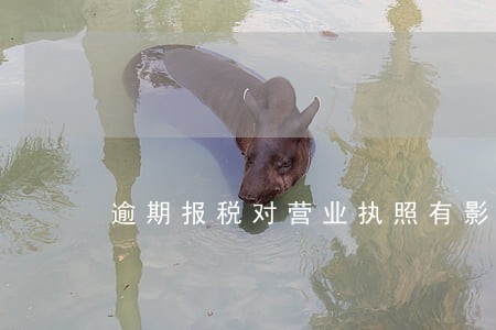 逾期报税对营业执照有影响吗 逾期报税对营业执照有影响吗