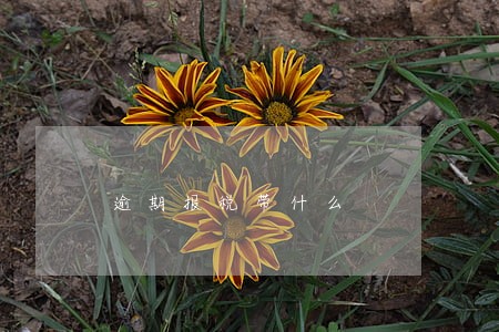 逾期报税带什么 逾期报税带什么