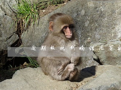 逾期报税影响信用等级么