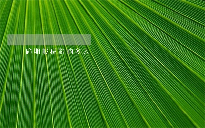 逾期报税影响多大 逾期报税影响多大