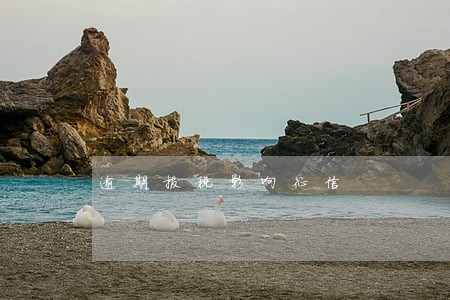 逾期报税影响征信 逾期报税影响征信