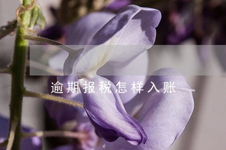 逾期报税怎样入账 逾期报税怎样入账