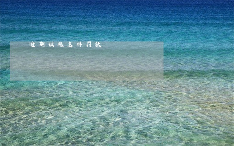 逾期报税怎样罚款 逾期报税怎样罚款