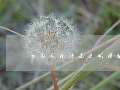 逾期报税情况说明模板 逾期报税情况说明模板