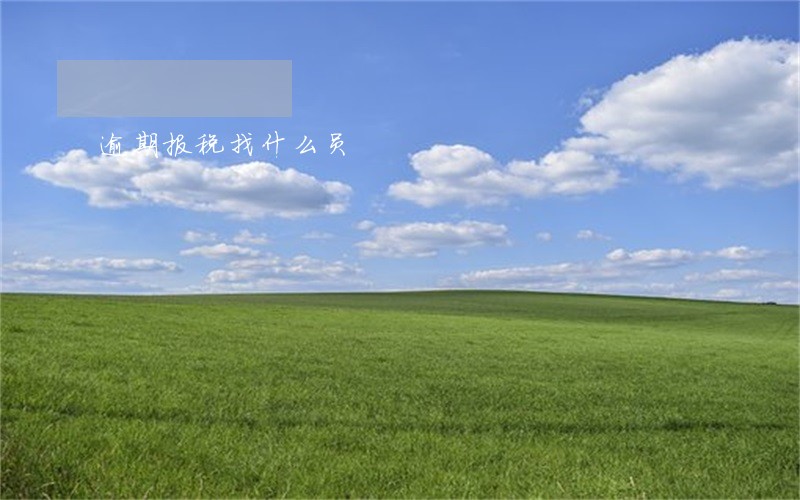 逾期报税找什么员 逾期报税找什么员