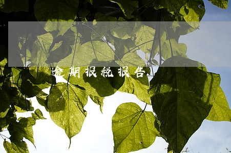 逾期报税报告 逾期报税报告