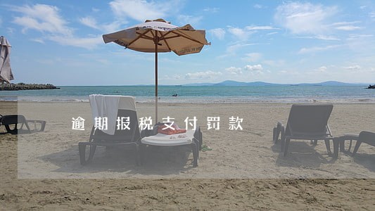 逾期报税支付罚款 逾期报税支付罚款