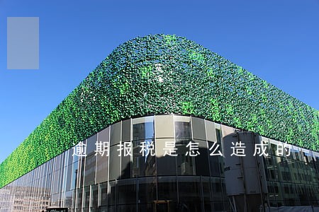 逾期报税是怎么造成的 逾期报税是怎么造成的