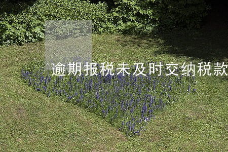 逾期报税未及时交纳税款处罚 逾期报税未及时交纳税款处罚