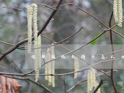 逾期报税未清卡怎么办 逾期报税未清卡怎么办