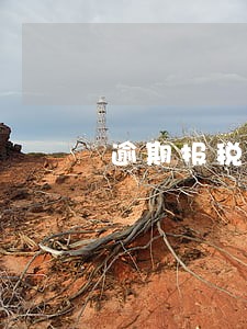 逾期报税没有账本罚款 逾期报税没有账本罚款