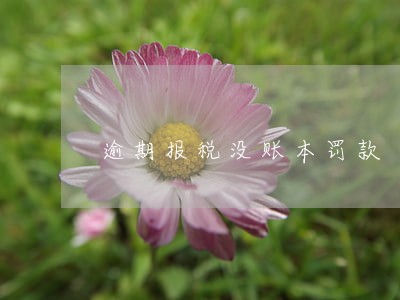逾期报税没账本罚款 逾期报税没账本罚款