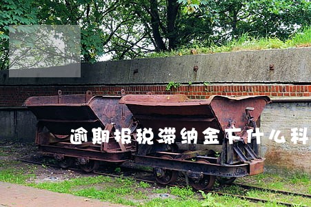 逾期报税滞纳金下什么科目 逾期报税滞纳金下什么科目
