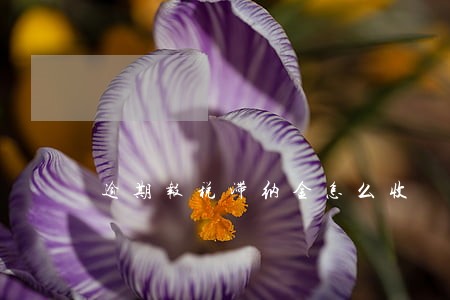 逾期报税滞纳金怎么收 逾期报税滞纳金怎么收