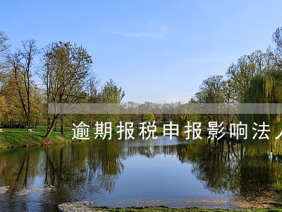 逾期报税申报影响法人