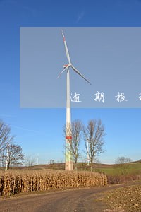 逾期报税电子税务局 逾期报税电子税务局