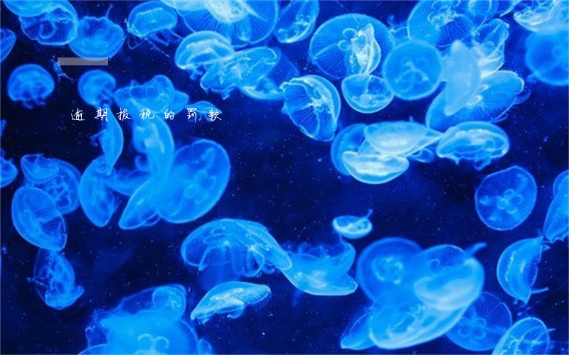 逾期报税的罚款