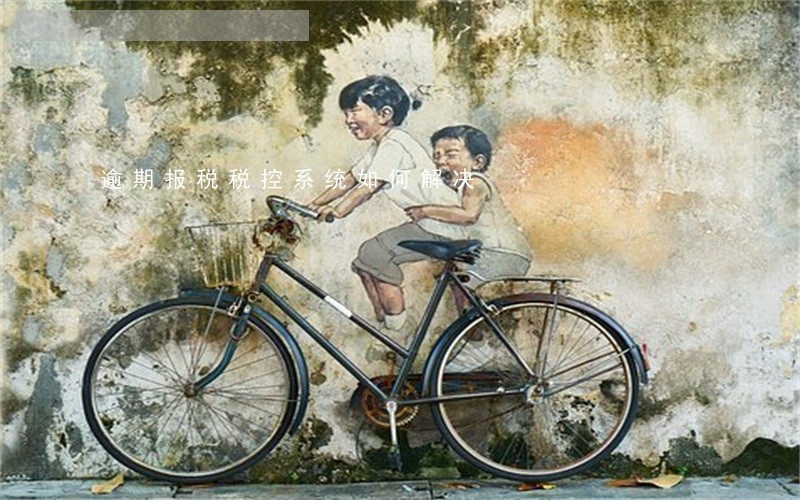 逾期报税税控系统如何解决 逾期报税税控系统如何解决